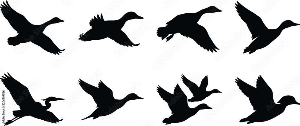 Obraz premium Collection of black silhouette flying bird icons featuring ducks waterfowl geese and a heron in flight.