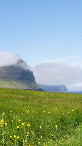 View of Mountains and Green Meadow with View of Ocean in Summer of Faroe Islands. Vertical Footage