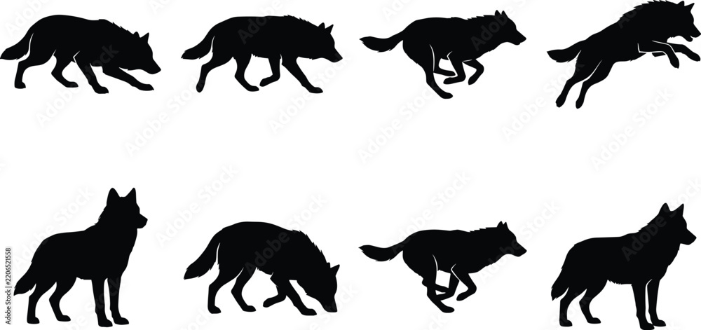 Obraz premium Wolf Silhouettes Depicting Walking, Running, Leaping, and Observing in Natural Motion