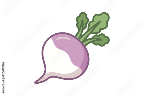 Purple Turnip Flat Vector Illustration
