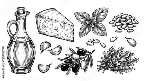 Set of hand drawn vector illustration of traditional Italian food ingredients including olive oil bottle, parmesan cheese, basil leaves, garlic, olives, pine nuts and arugula isolated on white