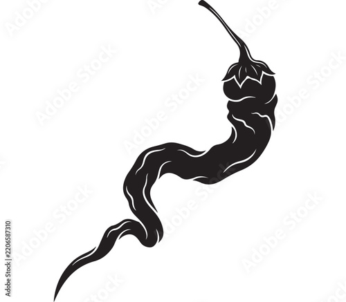 Minimalist long curved chili pepper silhouette featuring sharp lines and clean black style