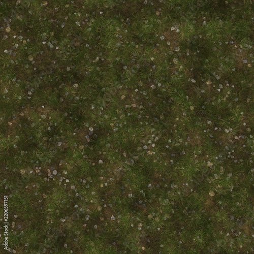 Natural green grass field surface texture with scattered small wild flowers grass background meadow texture lawn background green nature