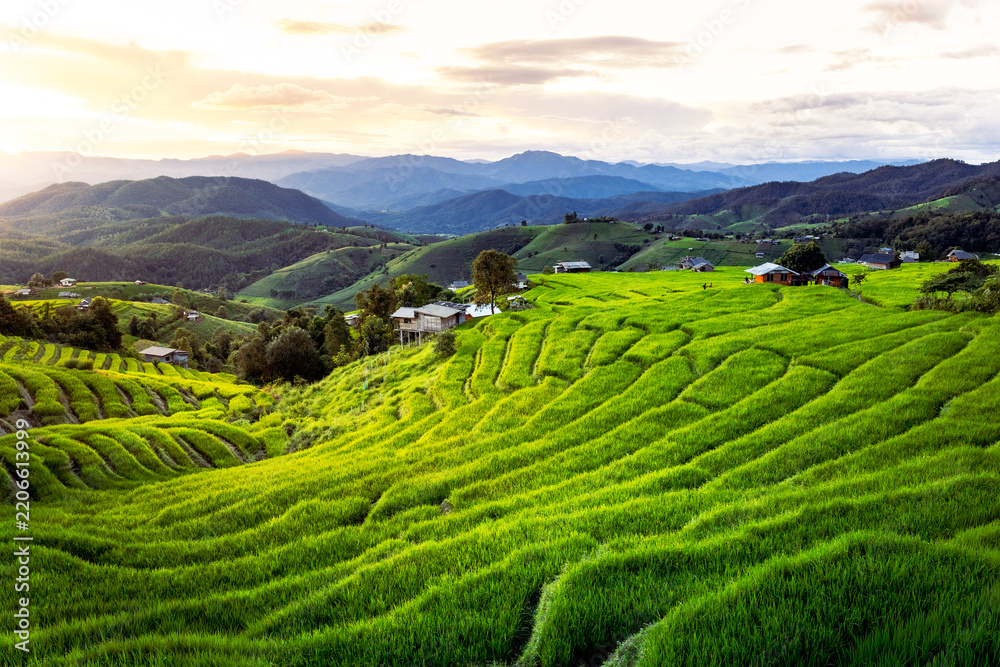 Obraz premium Lush green tea plantation across rolling mountain hills under glowing cloudy sky