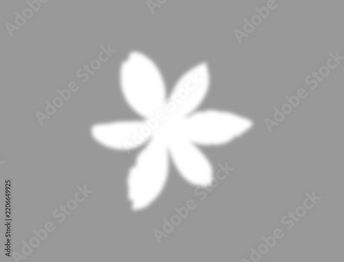 Soft 40 percent opacity shadow with centered six petal flower cutout on transparent background