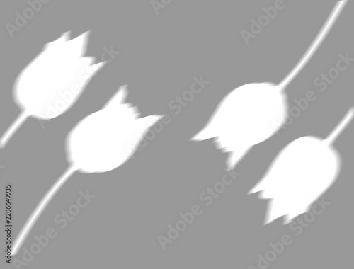 Soft 40 percent opacity shadow with tulip flowers cutouts pattern on transparent background