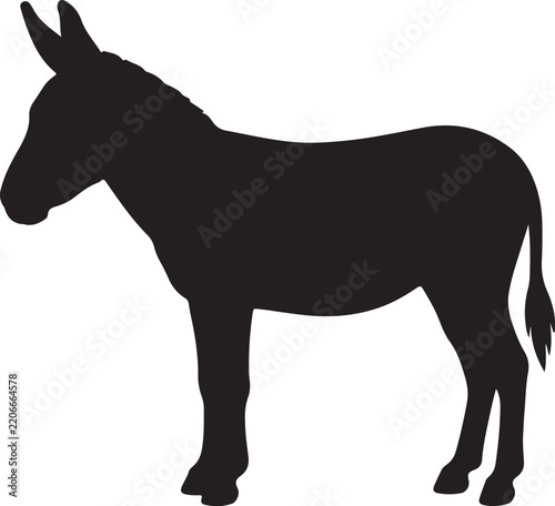 Donkey silhouette on white background.