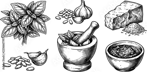 Pesto ingredients and making process icon set in engraved line art style including basil, garlic, pine nuts, parmesan cheese, mortar and pestle.