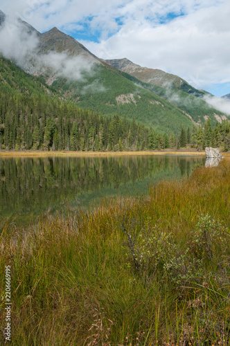 Morning view of a picturesque green Altai mountain valley with Shavla river in late August, Russian Federation