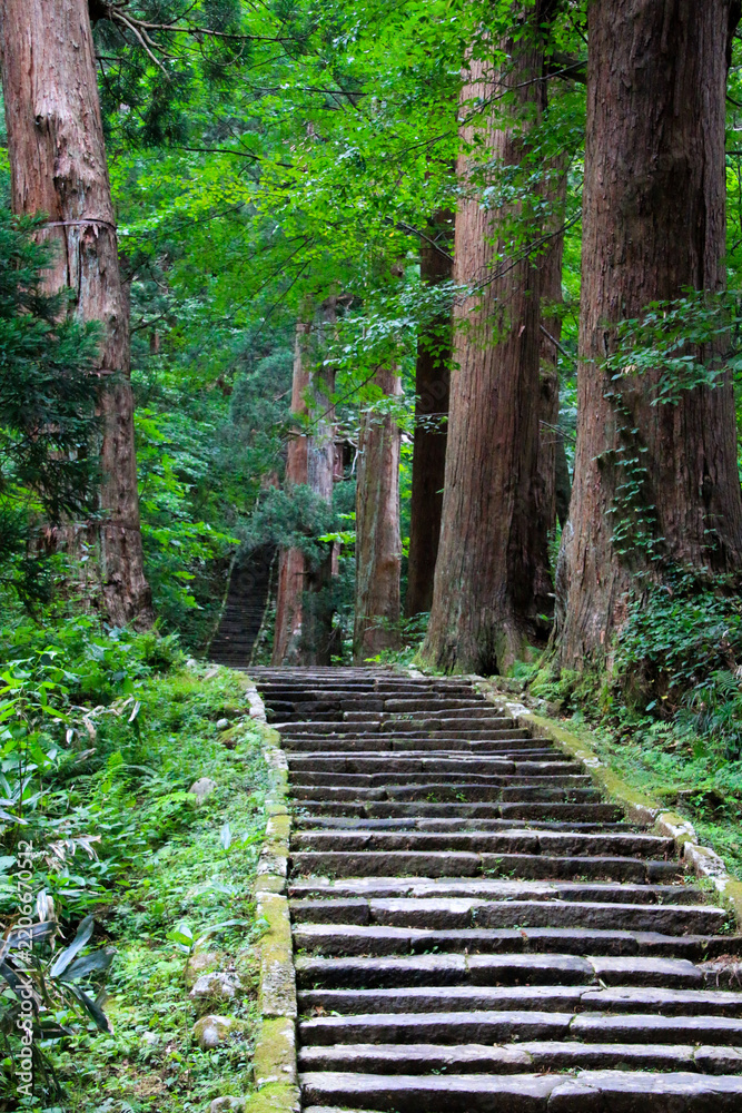 Obraz premium 羽黒山
