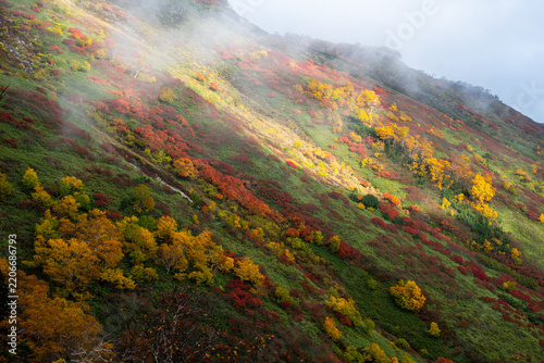 紅葉最盛期の銀泉台