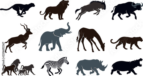 Photography African safari wildlife animal silhouette icon set featuring flat vector illustr