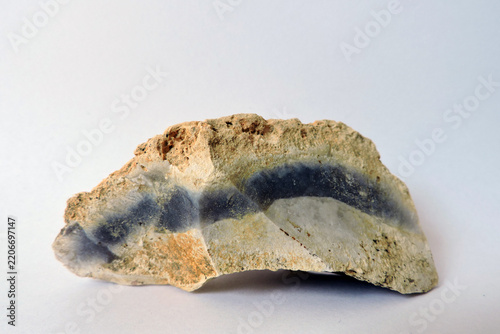 Flint mineral specimen with a dark silica band in a limestone rock on a white background