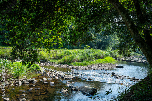 Beautiful riverside with tree by the side, and sunlight shines on the water, in New Taipei city, Taiwan.