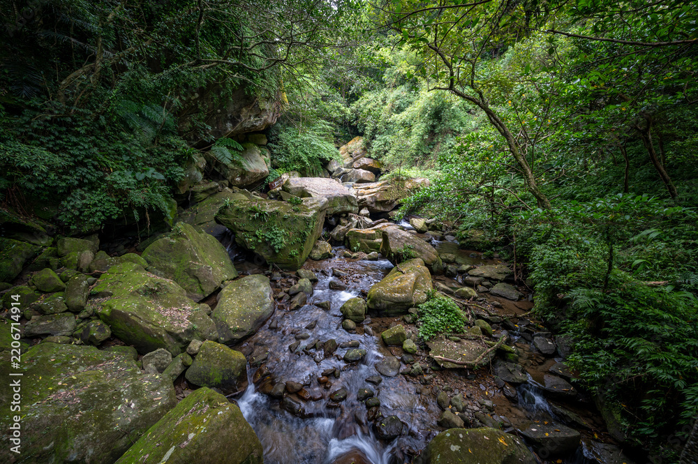 Fototapeta premium Beautiful stream hidden in the forest, in Nuandong Valley, Keelung city, Taiwan.