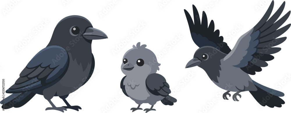 Obraz premium Three cute cartoon crows including an adult standing a chick and one flying.