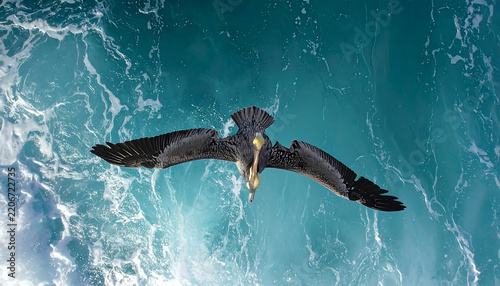 Top view of a brown pelican bird in flight soaring over turquoise ocean waves with white foam