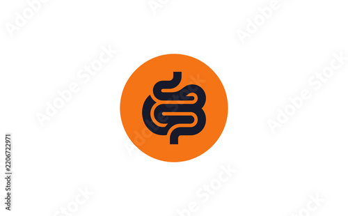 Modern intestine icon featuring bold dark lines on vibrant orange circle