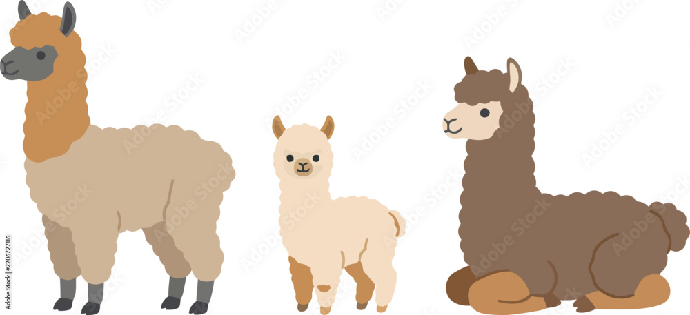 Obraz premium Three cute cartoon alpacas standing and sitting in a row.