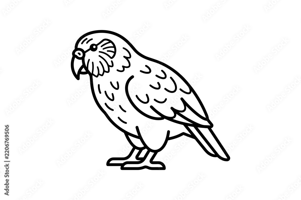 Fototapeta premium Minimalist Kakapo Parrot Vector Illustration
