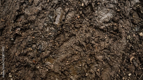 Top view of wet dark brown soil texture.