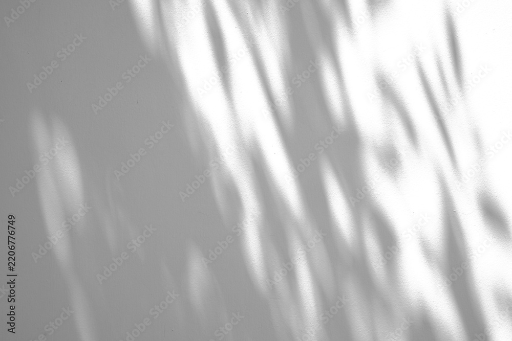 Obraz premium Abstract natural tree leaves shadow on white wall background
