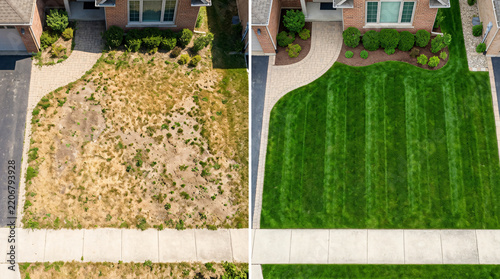 lawn renovation before and after | professional lawn care services results | backyard landscaping transformation | drought damaged grass recovery | lush green lawn maintenance