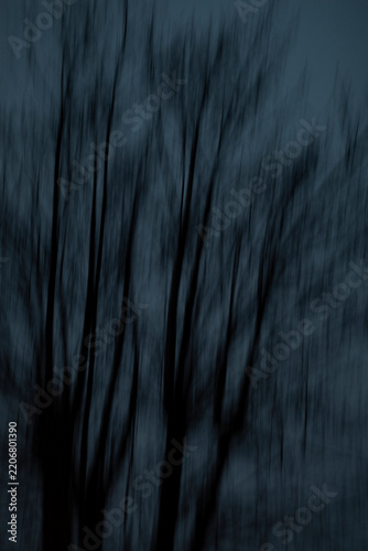 Blurred Bare Trees at Dusk. Minimalist photo