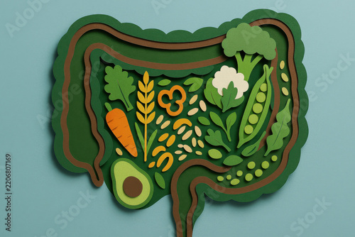 Layered illustration of intestine filled with fiber rich vegetables and grains, green and brown paper cross section, high fiber gut health concept on blue background