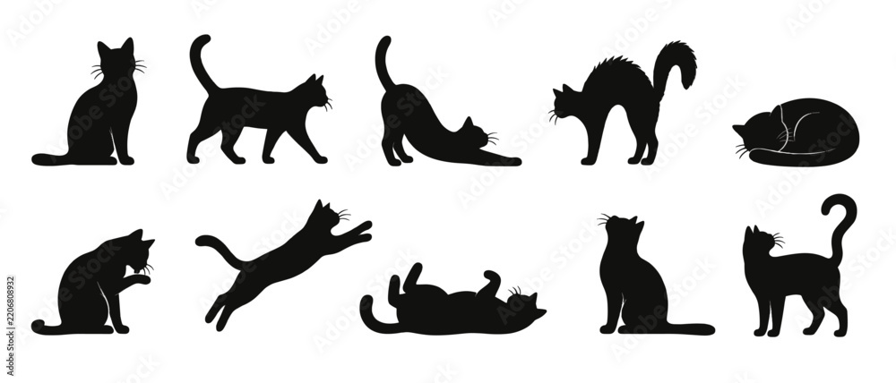 Fototapeta premium Black cat silhouette icons with stretching jumping and sleeping