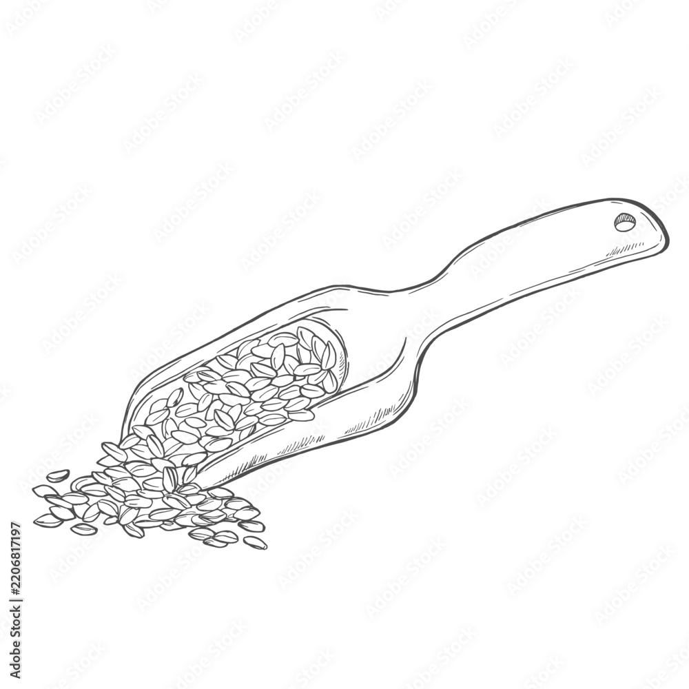 Obraz premium Wooden scoop with grain sketch. Hand drawn vector illustration of rustic flour or cereal seeds scoop isolated on white background.