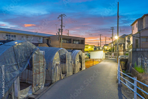 Greenhouses on suburban street in quiet neighborhood at sunrise