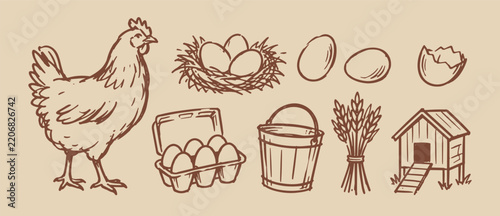 Hen and Eggs Hand Drawn Rustic Farm Illustration Set