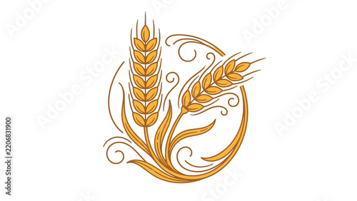 Golden wheat ears vector illustration featuring vintage flourishes and decorative botanical line art elements