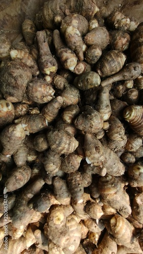 Large pile of fresh taro roots in the market stall