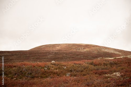  Minimalist autumn landscape with red mountain peak in Norway