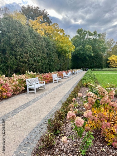Park benches in autumn