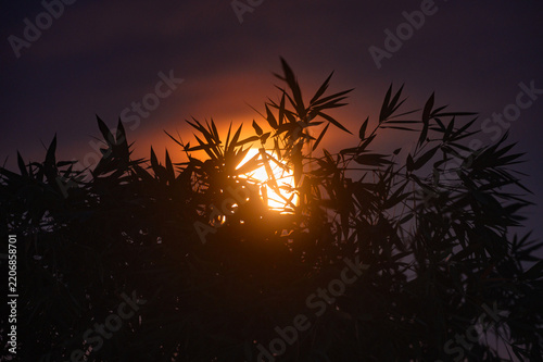 Canvas Print The Harvest Moon is the full moon that happens closest to the autumnal equinox