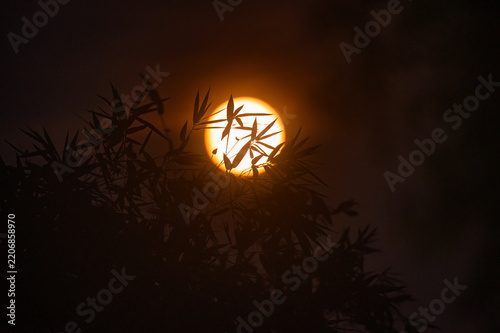 Canvas Print The Harvest Moon is the full moon that happens closest to the autumnal equinox