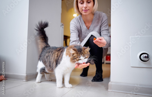 A woman crouches in a bright hallway, hand-feeding a fluffy longhair cat a treat. The scene conveys warm pet care, trust, domestic life and gentle interaction between owner and companion animal.