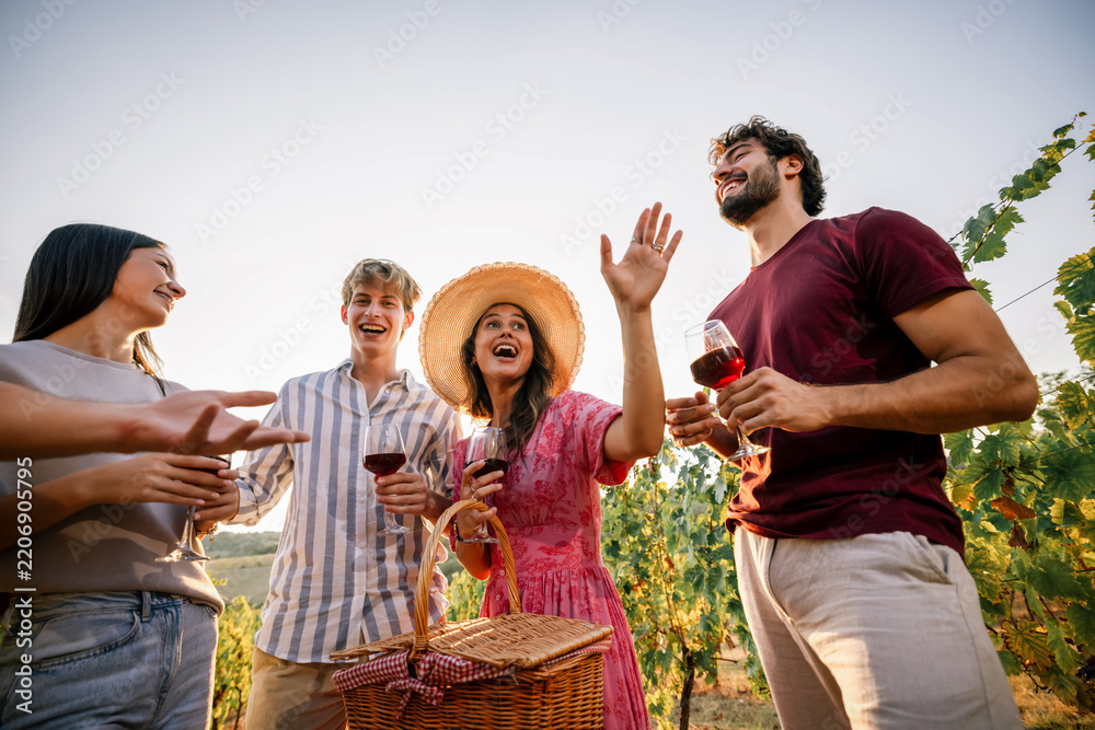 Obraz premium Joyful friends looking down and waving glasses of wine at vineyard picnic