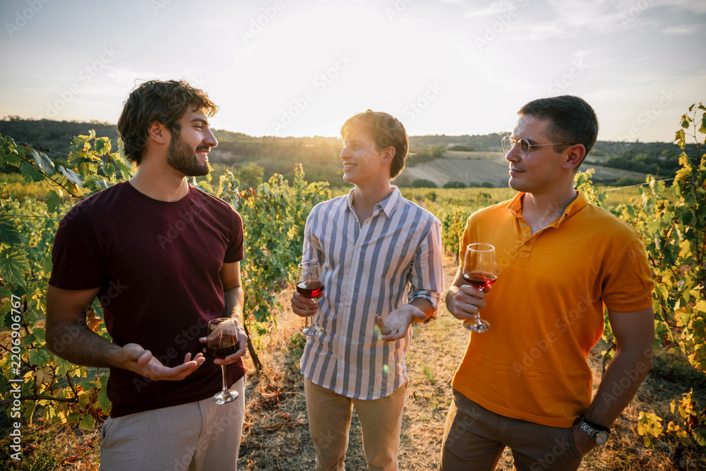 Obraz premium Three male friends enjoying wine tasting and conversation in vineyard