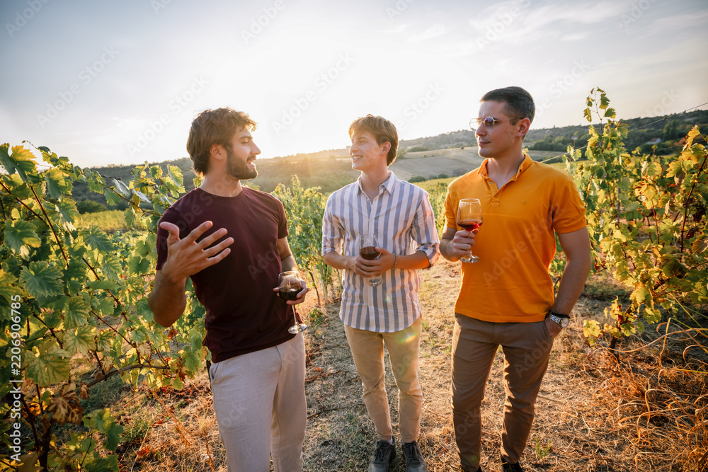Obraz premium Three young men talking and holding wine glasses in a sunny vineyard