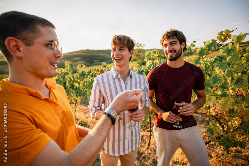 Obraz premium Three young guys chatting with glasses of red wine in sunny vineyard