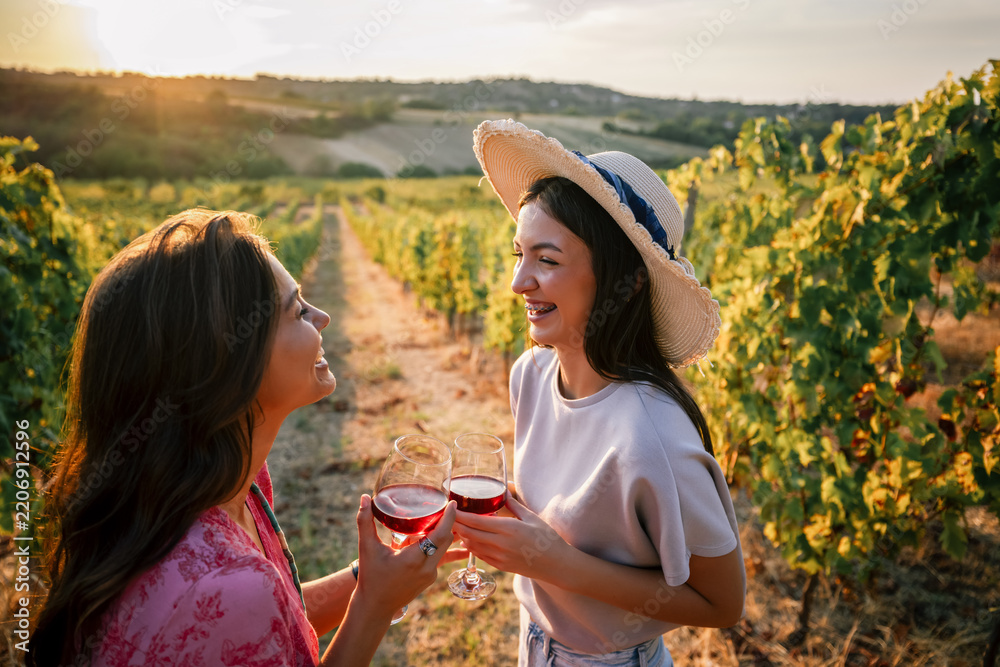 Fototapeta premium Two women toasting with wine glasses and smiling in a sunset vineyard