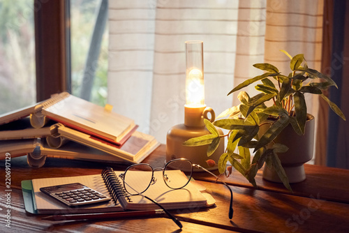 Workspace with books, a lamp, and a plant on a wooden table