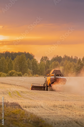 Combine harvesting crops in large field at golden sunset with dust cloud and copy space