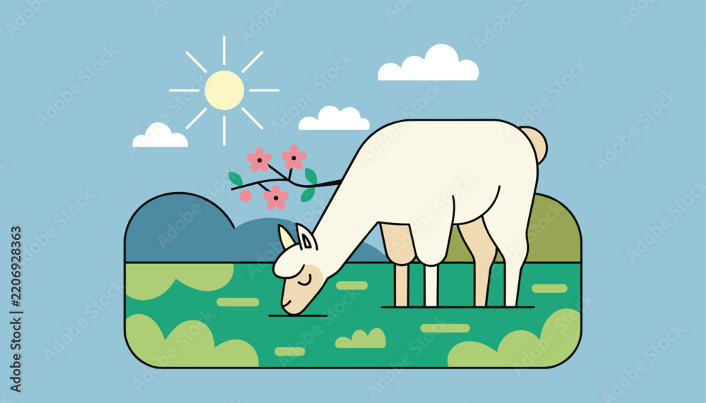 Obraz premium Serene landscape with a fluffy white llama or alpaca grazing peacefully on a green pasture under a sunny sky with clouds.