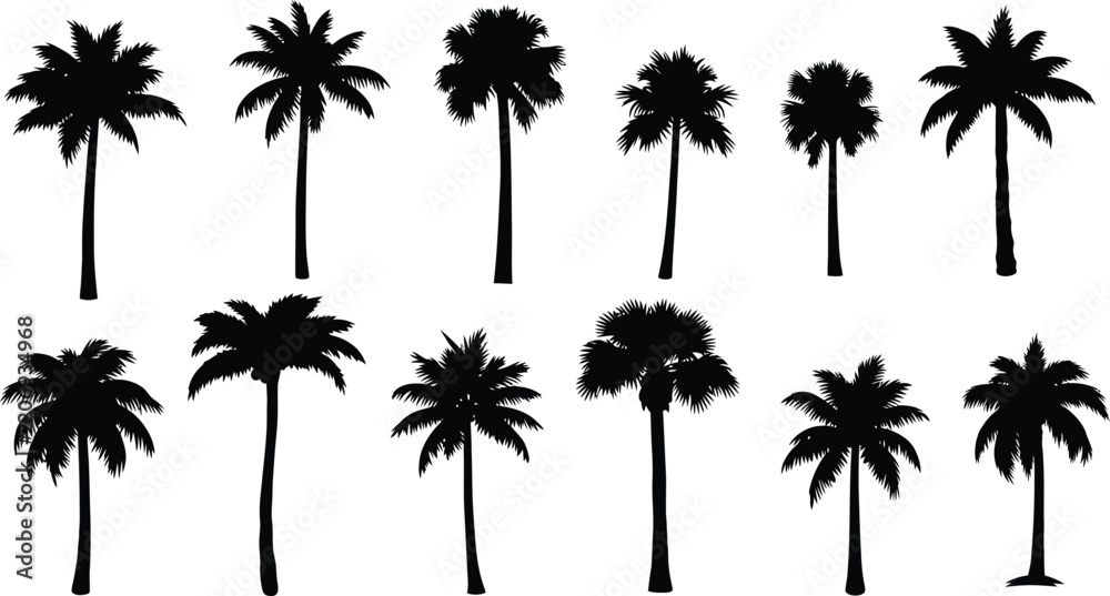 Fototapeta premium A diverse collection of black palm tree silhouettes set against a clean white backdrop evoking a tropical island paradise lifestyle