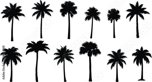 A diverse collection of black palm tree silhouettes set against a clean white backdrop evoking a tropical island paradise lifestyle